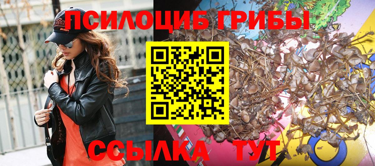 Галлюциногенные грибы Psilocybe Мелеуз