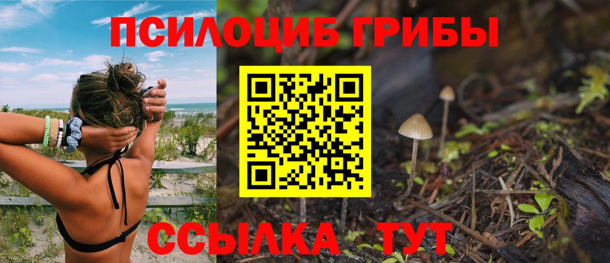 Галлюциногенные грибы прущие грибы  Вход с VPN  Мелеуз 